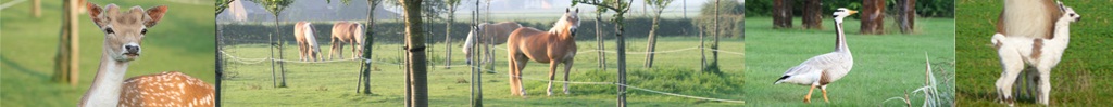 Sfeerbeeld van het kapelhof